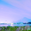 ファンタジックな八月の夜
