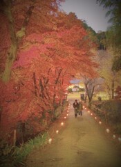 秋の恋人たち２