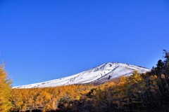 近づくことで知る表情１