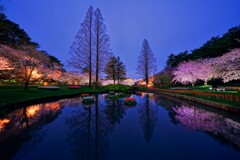 春の夢の続き２