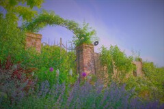 La rose des Vents(ラ　ローズデバン）１