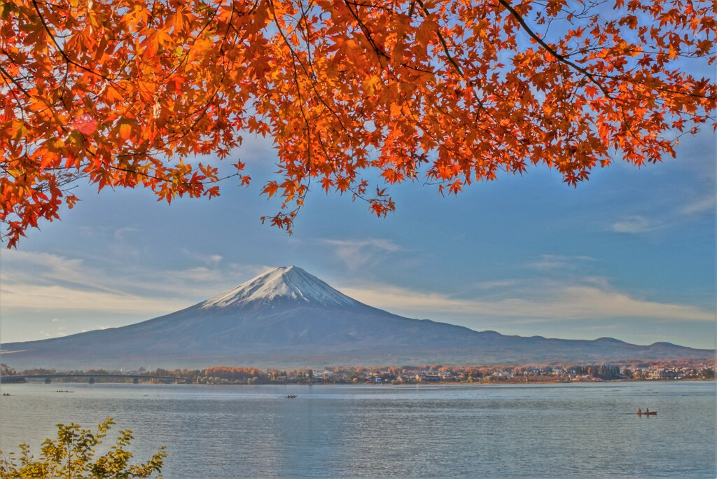 朝日を浴びて輝く