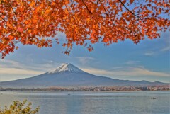 朝日を浴びて輝く