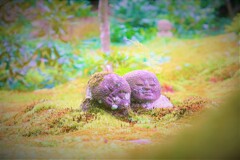 コケむすまで。。。１