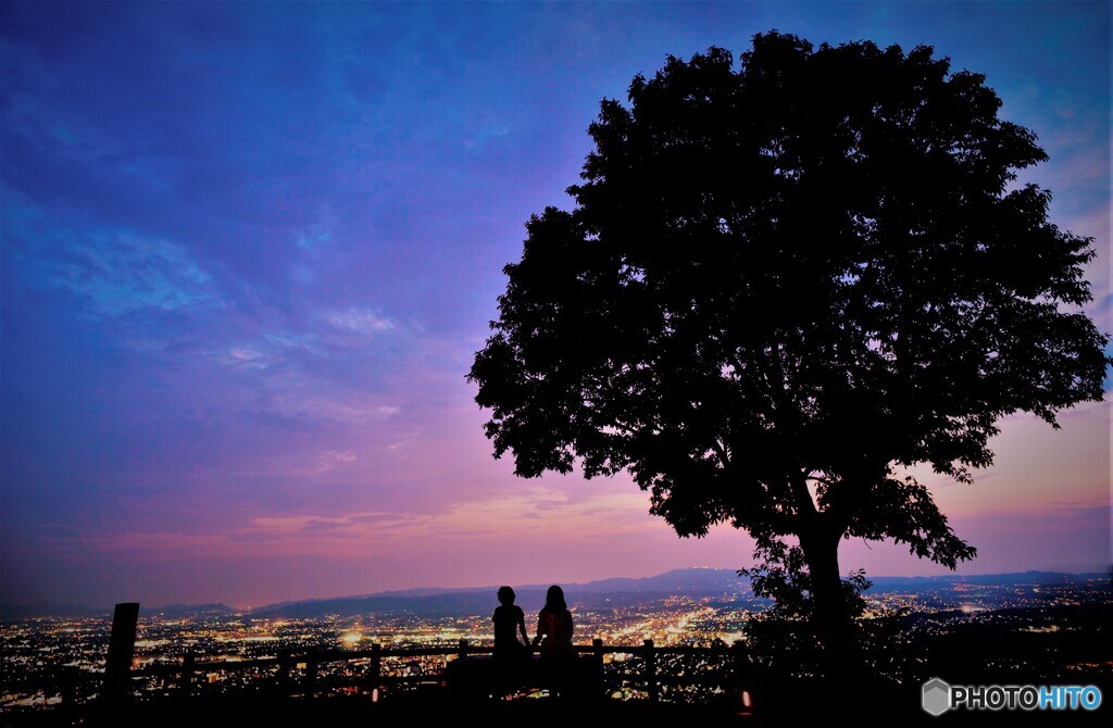 若草山の若草２０１６