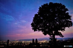 若草山の若草２０１６