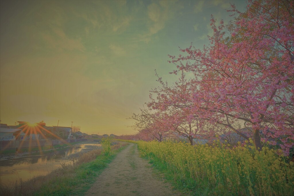 夕刻の免々田川