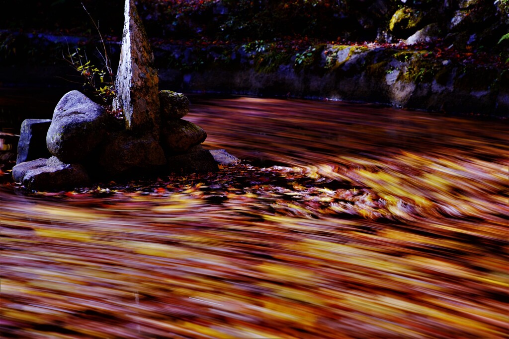 風とモミジの絵画１