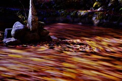 風とモミジの絵画１