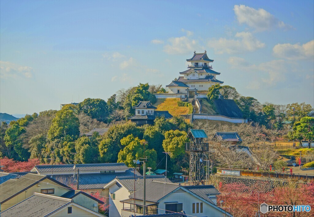 掛川城の春