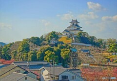 掛川城の春