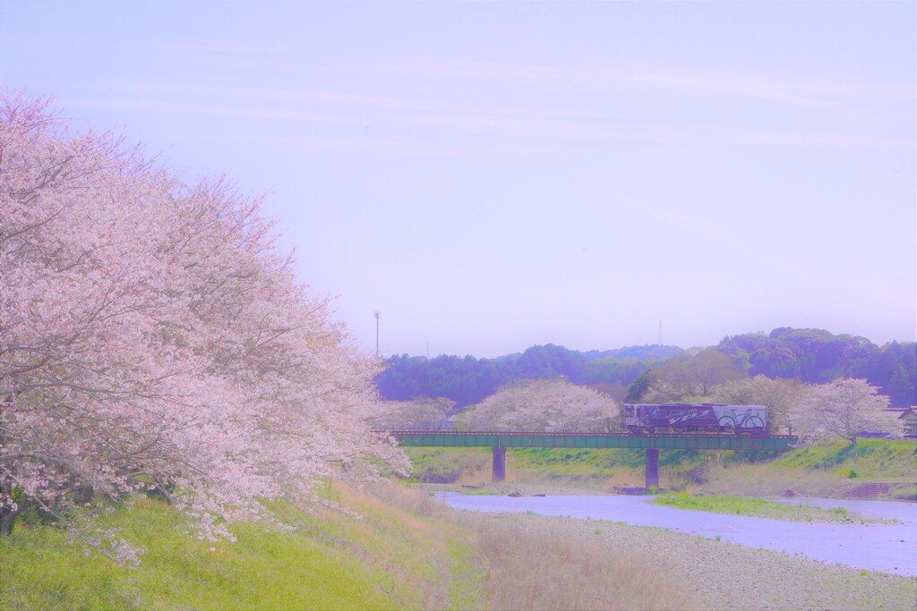 春はてんはま６