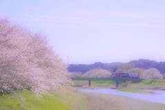 春はてんはま６