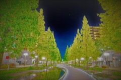 恋人達の散歩道　Summer green