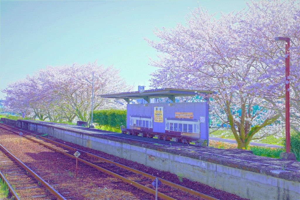 春の駅舎１