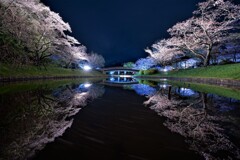 春の夢の続き４