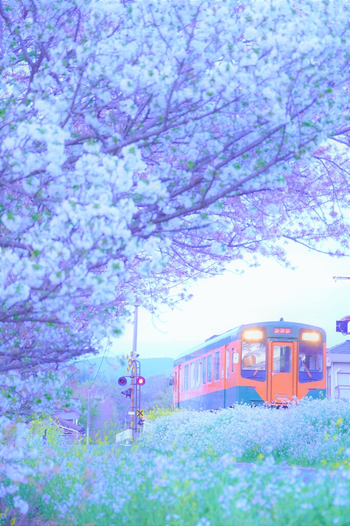 春はてんはま５