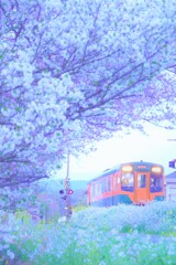 春はてんはま５