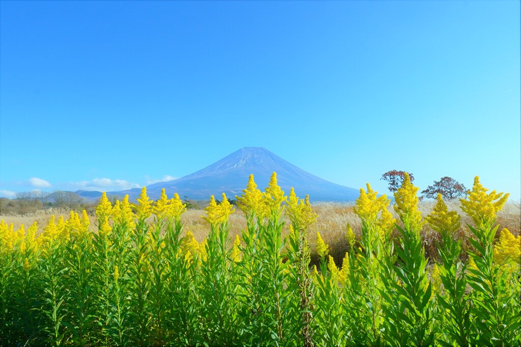 厄介なお客様　その１
