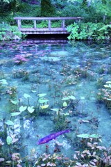 モネの池１