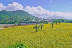 yellow world２