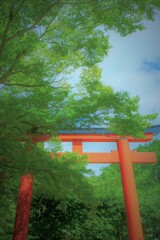 夏の貴船神社１