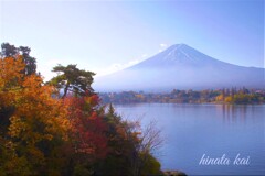 大橋の眺望