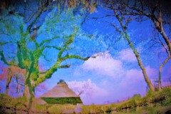 うららかな春の日に