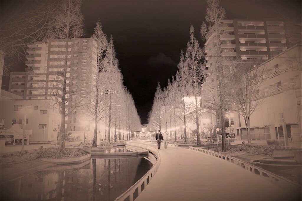 恋人達の散歩道　Lovers