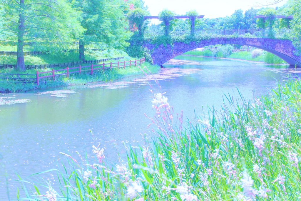 白鳥草とガ－デンブリッジ