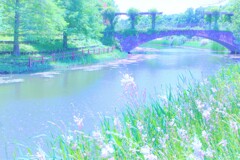 白鳥草とガ－デンブリッジ