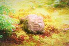 コケむすまで。。。２