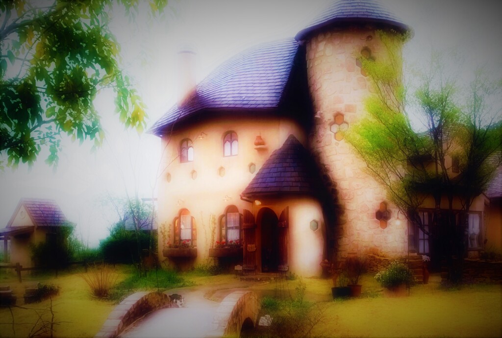 さんぽ道　Silky