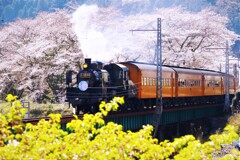 春の橋梁を渡る