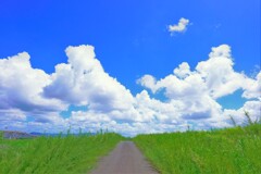 ♬夏空グラフィティ４～夏へと続く道