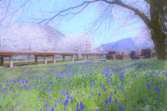 春に集う青い妖精たち