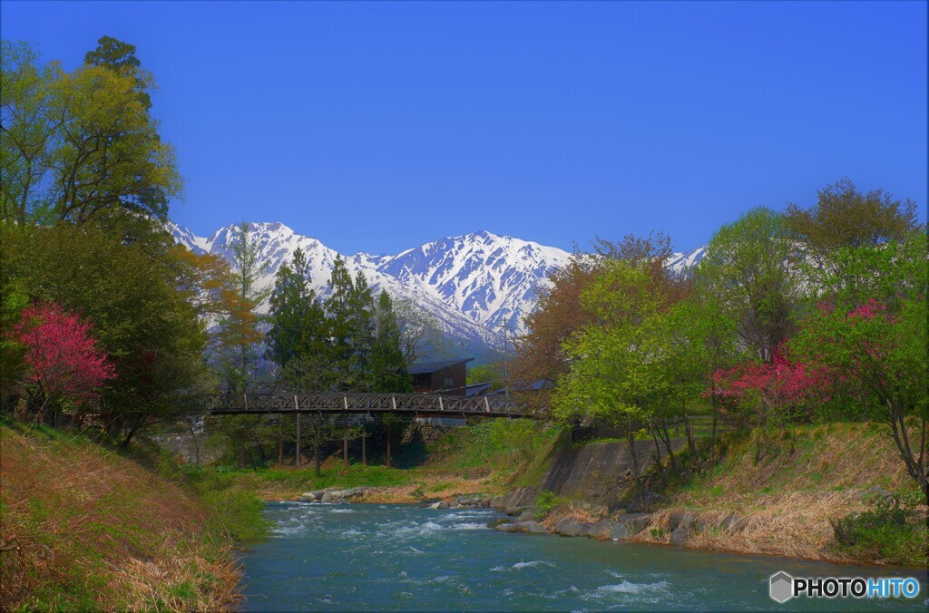 絶景のつり橋