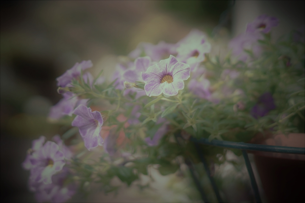 「心のやすらぎ」