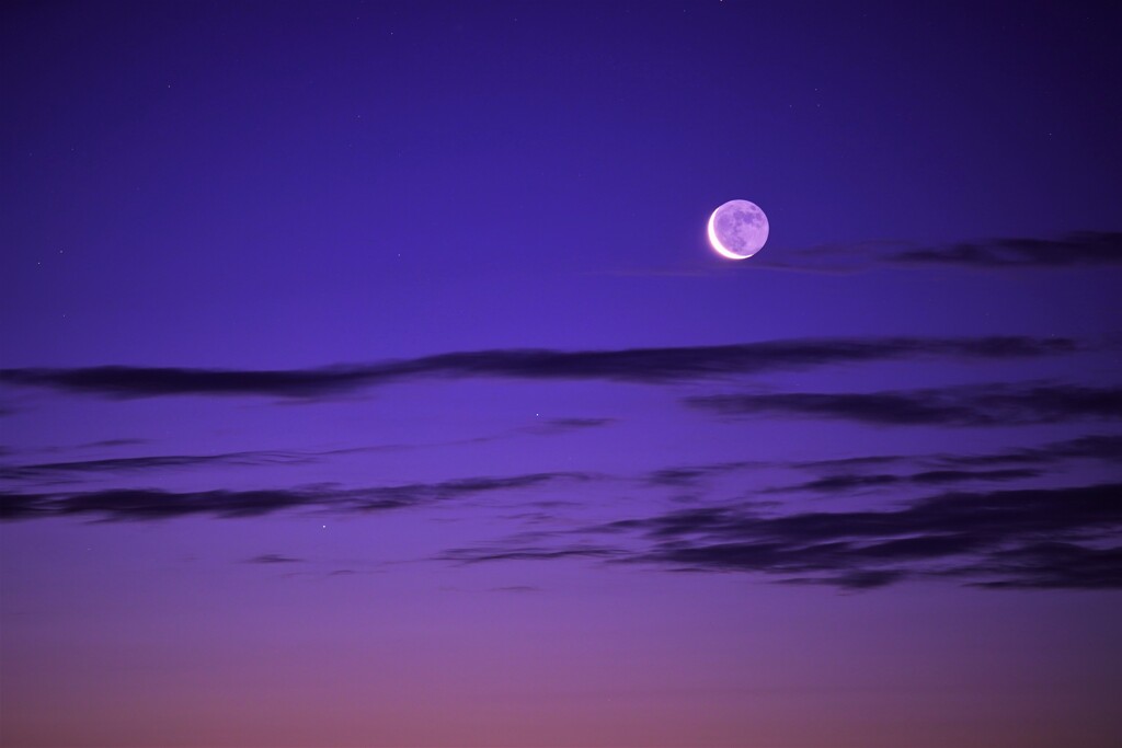 夜明けの細い月