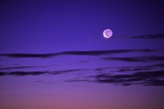 夜明けの細い月