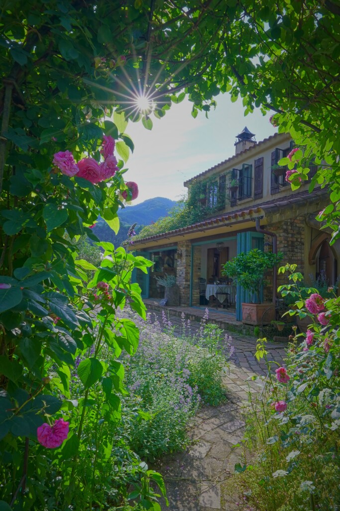 La rose des Vents（ラ　ローズデバン）２