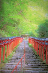 夏の貴船神社２