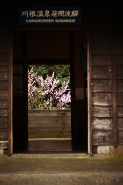 フォトジェニックな駅舎1　川根温泉笹間渡駅