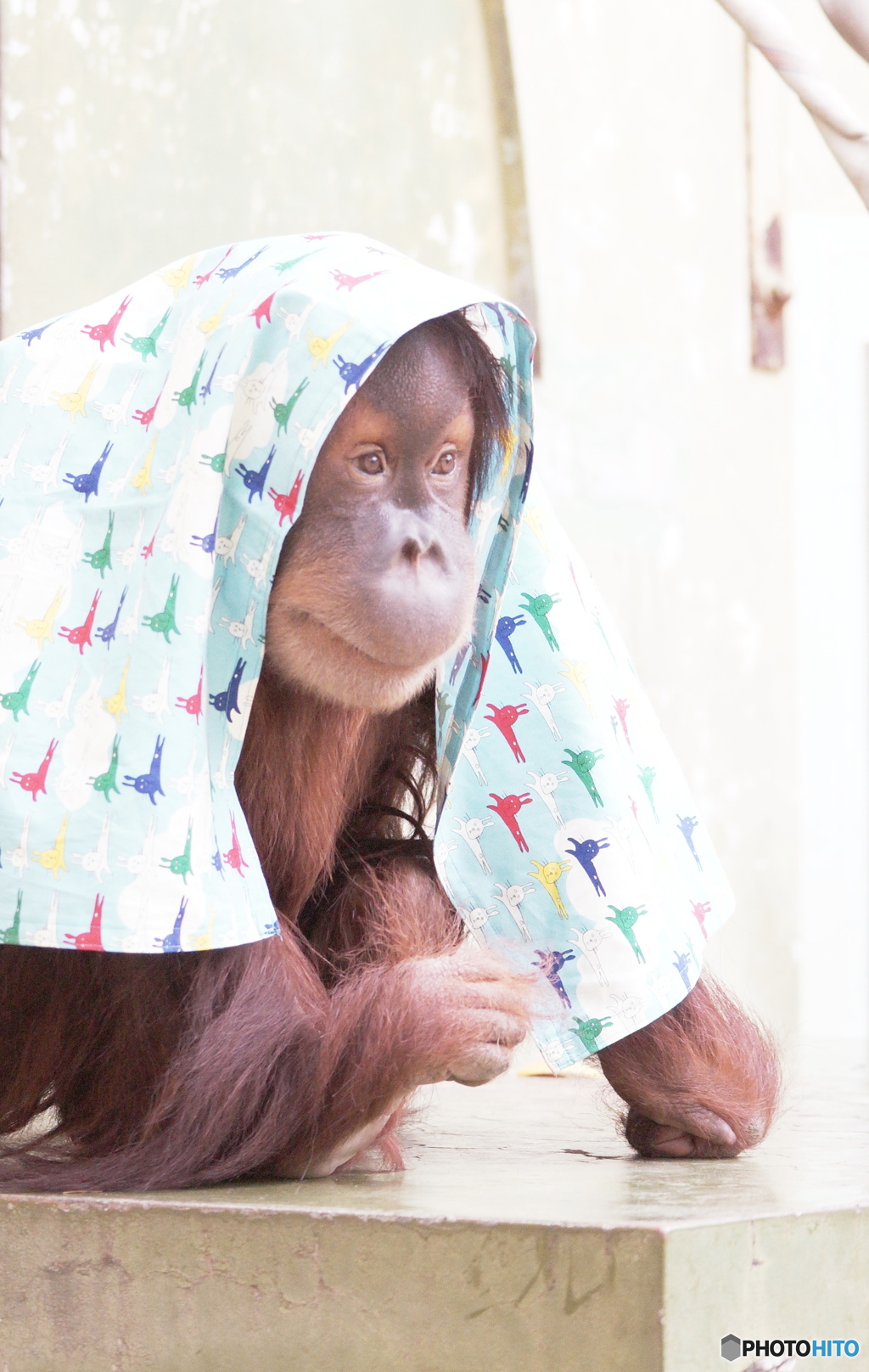 女の子だもん。オシャレしたいの