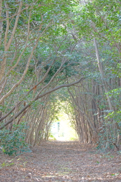 Lotta　ポトレ１