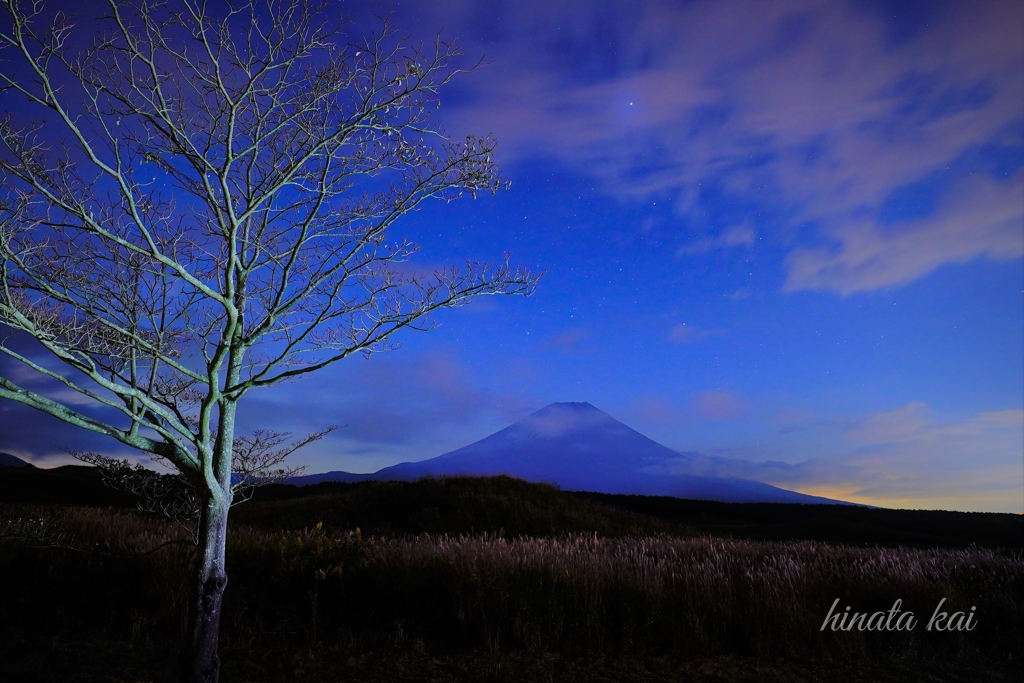 winter wind
