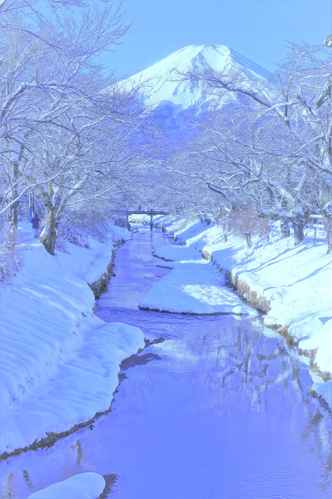 凍てつく朝に