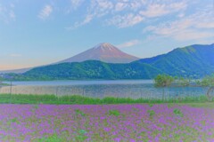 静かな湖畔の花畑