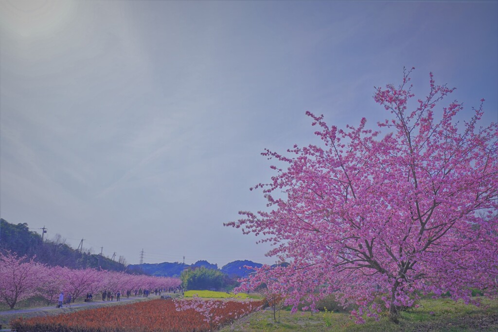 青い空の下で。。。