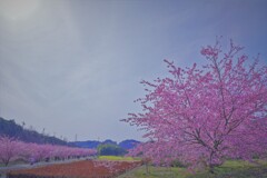 青い空の下で。。。